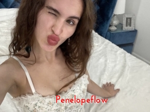 Penelopeflow