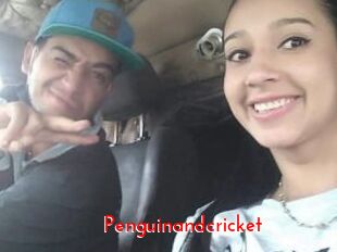 Penguinandcricket