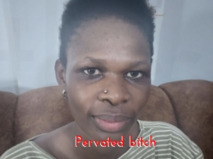 pervated_bitch The Sex