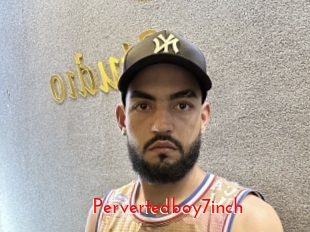 Pervertedboy7inch