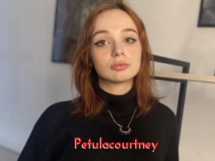 petulacourtney The Sex