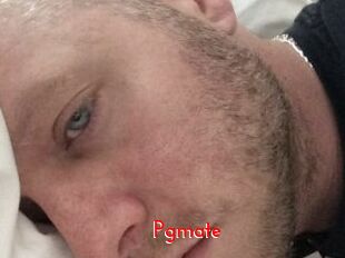 Pgmate