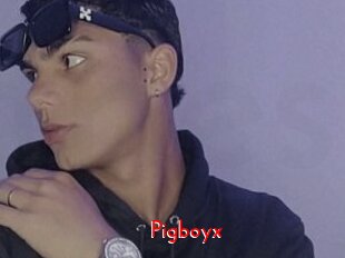 Pigboyx