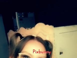 Pixbunny