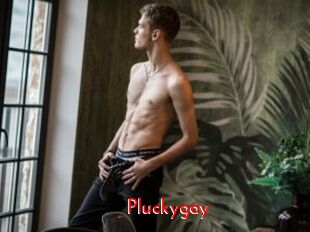 Pluckygay