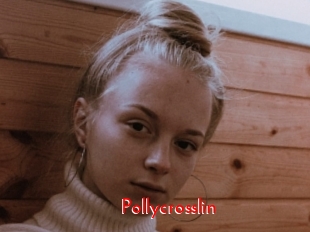 Pollycrosslin