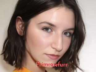 Primrosefurr