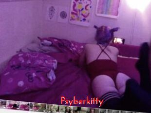 Psyberkitty