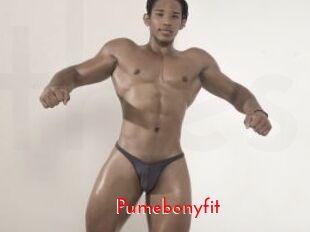 Pumebonyfit