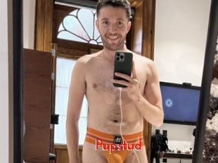 Pupstud