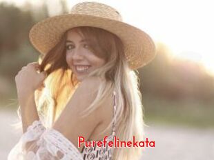 Purefelinekata