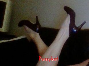 Pussykat