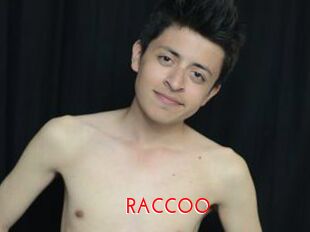 RACCOO
