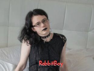 RabbitBoy