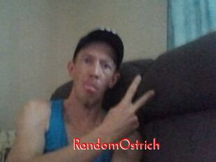 RandomOstrich