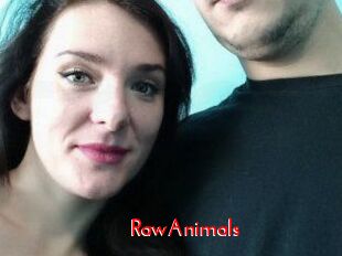 RawAnimals