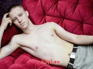 RayLeo