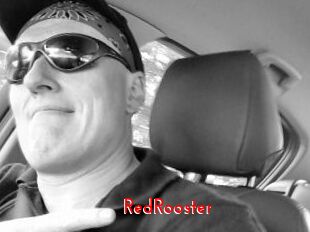 RedRooster