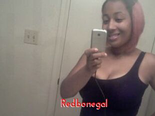 Redbonegal