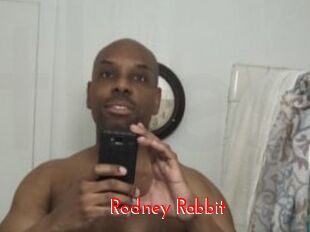 Rodney_Rabbit