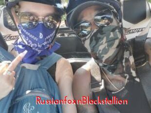 RussianfoxnBlackstallion