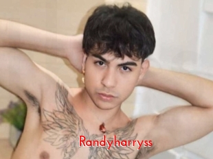 randyharryss The Sex