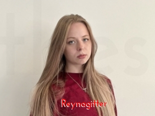 Reynagitter