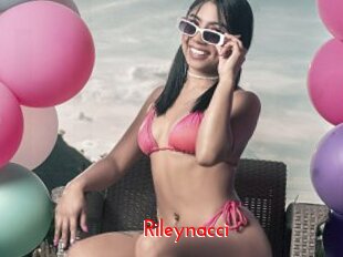 Rileynacci