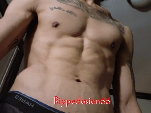 Rippedasian66
