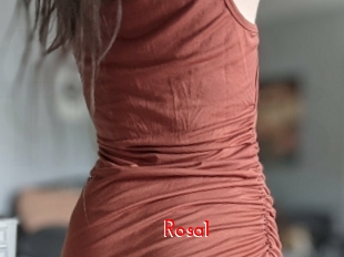 Rosa1