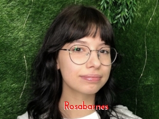 rosabarnes The Sex