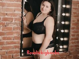 Rosaliebigboobs