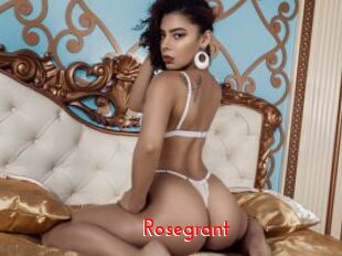 rosegrant The Sex