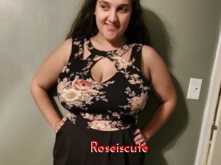 roseiscute The Sex