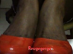 Rougegorge