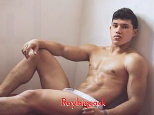 Roybigcock
