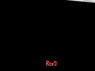 Rzs2
