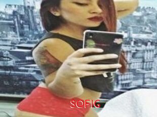 SOFI_G