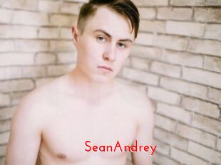 SeanAndrey The Sex