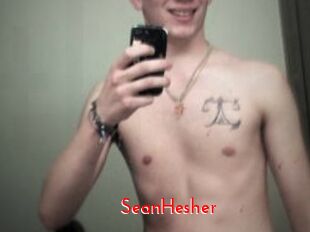 SeanHesher The Sex