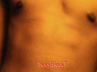 SexyBlackT The Sex