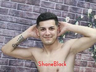ShaneBlack