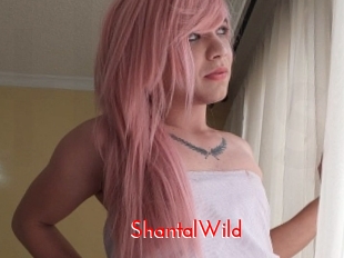 ShantalWild The Sex