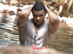 Shein_A