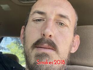 Snakec2018