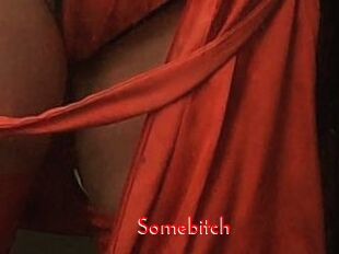 Somebitch
