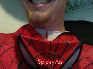SpideyAss