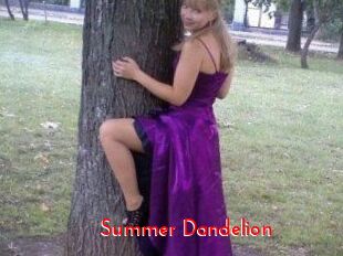 Summer_Dandelion