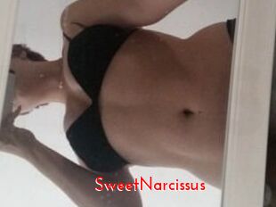 SweetNarcissus The Sex
