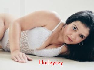 Harleyrey